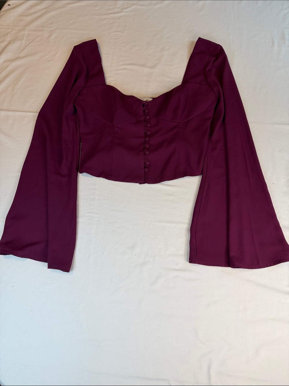 Plum Long-Sleeve Corset Crop Top - Unbranded